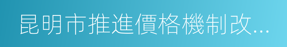 昆明市推進價格機制改革的實施方案的同義詞