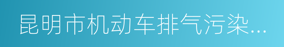 昆明市机动车排气污染防治条例的同义词