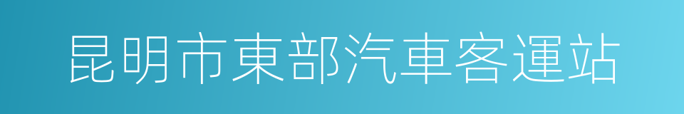 昆明市東部汽車客運站的同義詞