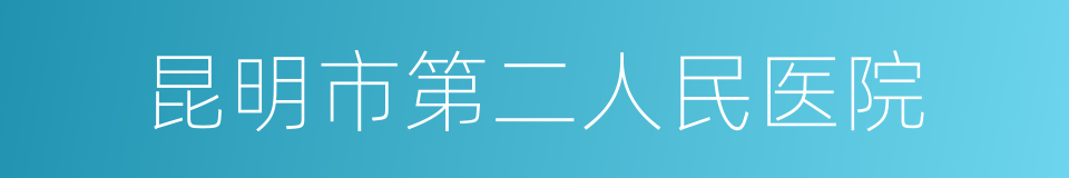 昆明市第二人民医院的同义词