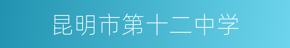 昆明市第十二中学的同义词