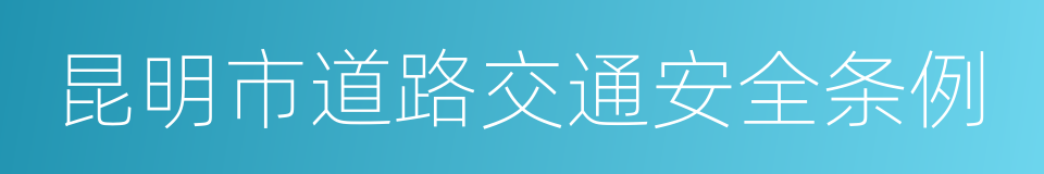 昆明市道路交通安全条例的同义词