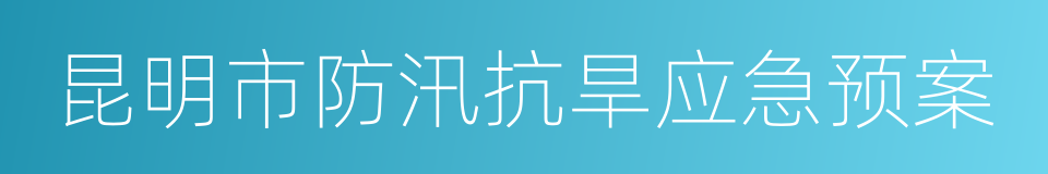 昆明市防汛抗旱应急预案的同义词