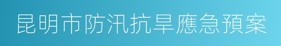 昆明市防汛抗旱應急預案的同義詞