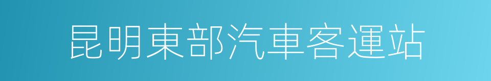 昆明東部汽車客運站的同義詞