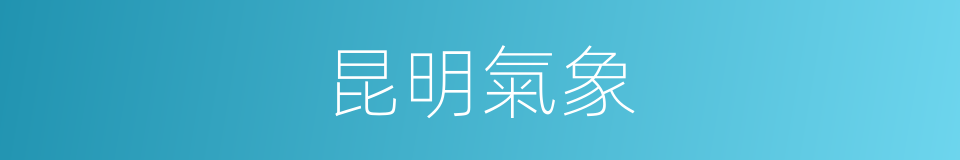 昆明氣象的同義詞