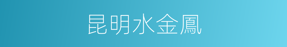 昆明水金鳳的同義詞