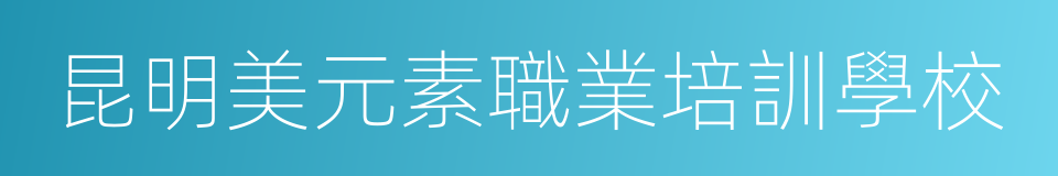 昆明美元素職業培訓學校的同義詞