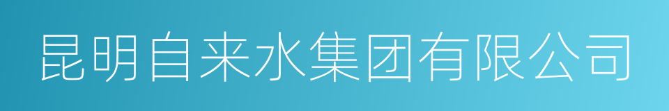 昆明自来水集团有限公司的同义词