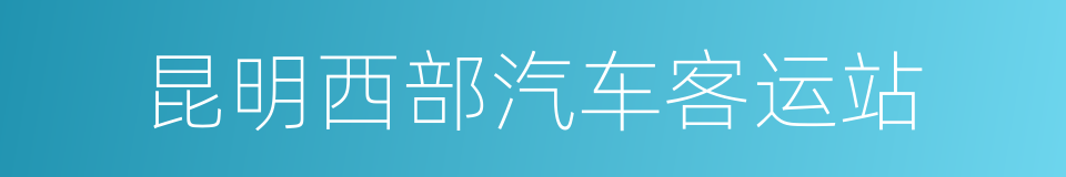 昆明西部汽车客运站的同义词