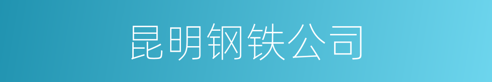 昆明钢铁公司的同义词