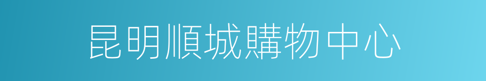 昆明順城購物中心的同義詞