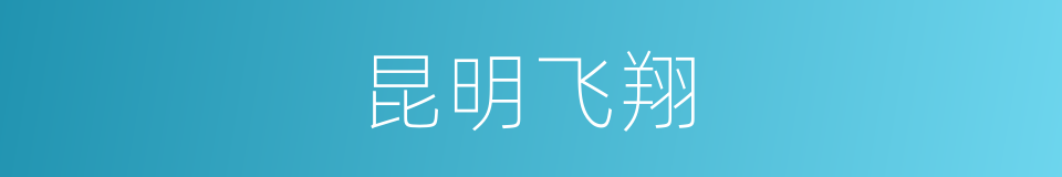 昆明飞翔的同义词