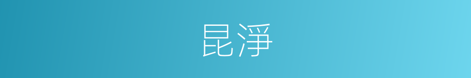 昆淨的同義詞