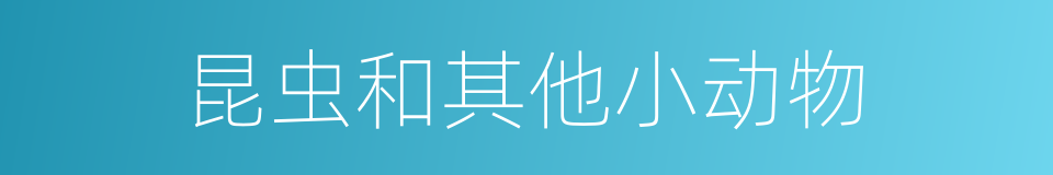 昆虫和其他小动物的同义词