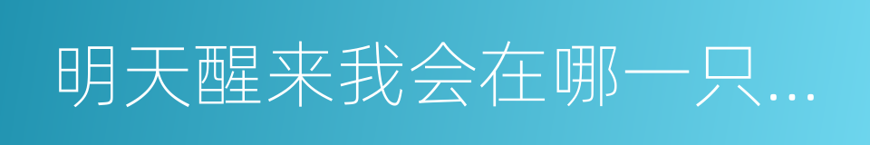 明天醒来我会在哪一只鞋子里的同义词