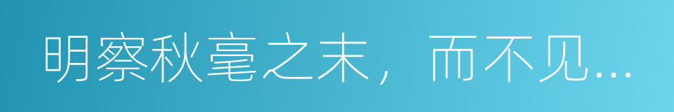 明察秋毫之末，而不见舆薪的意思