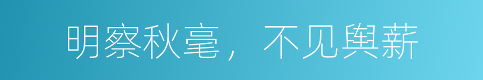 明察秋毫，不见舆薪的意思