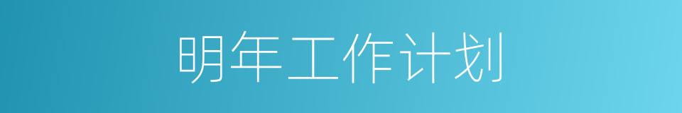 明年工作计划的同义词