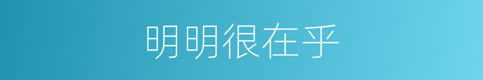 明明很在乎的同义词