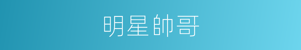 明星帥哥的同義詞