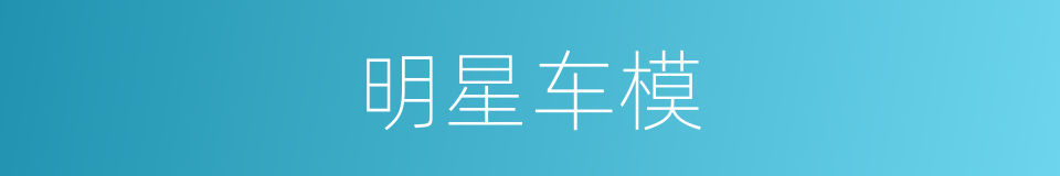 明星车模的同义词