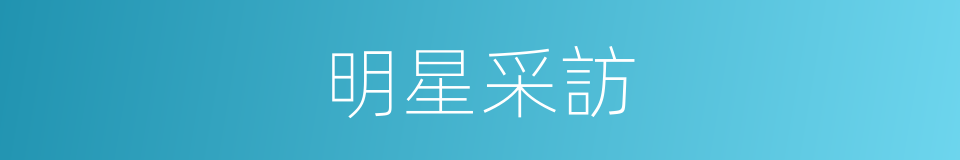 明星采訪的同義詞