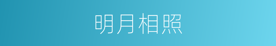 明月相照的同义词