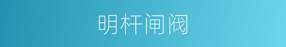 明杆闸阀的同义词