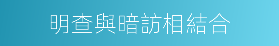 明查與暗訪相結合的同義詞