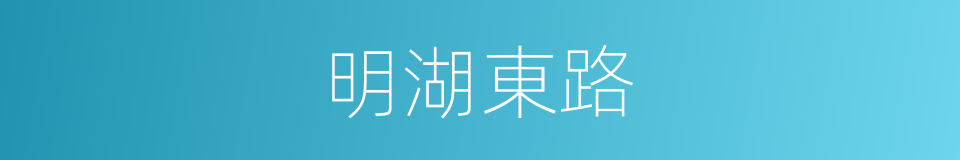 明湖東路的同義詞