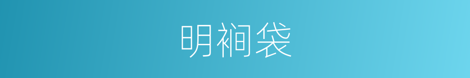明裥袋的同义词