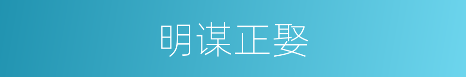 明谋正娶的同义词