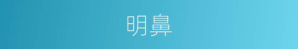 明鼻的同义词