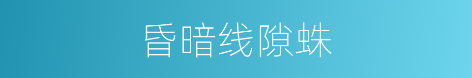 昏暗线隙蛛的同义词