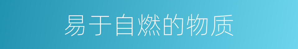 易于自燃的物质的同义词
