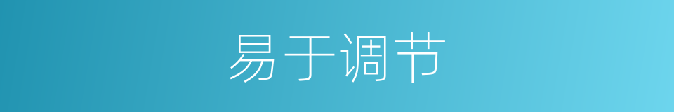 易于调节的同义词