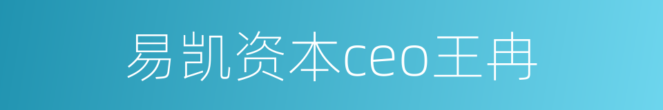 易凯资本ceo王冉的同义词