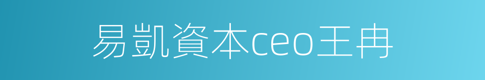 易凱資本ceo王冉的同義詞