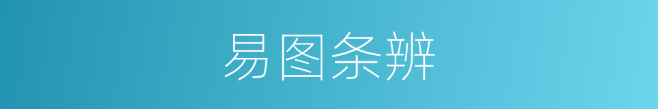易图条辨的同义词