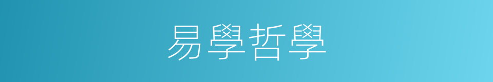 易學哲學的同義詞