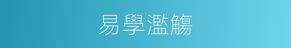 易學濫觴的同義詞