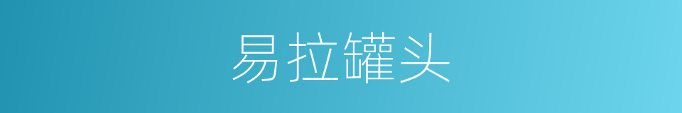 易拉罐头的同义词