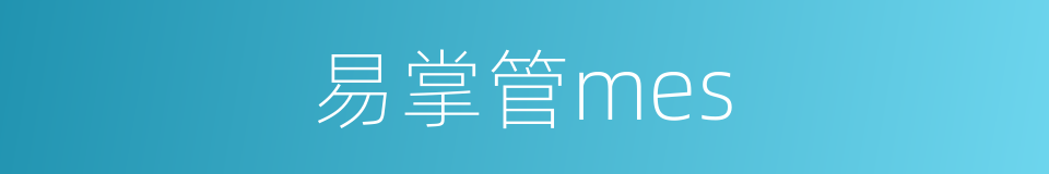 易掌管mes的同义词