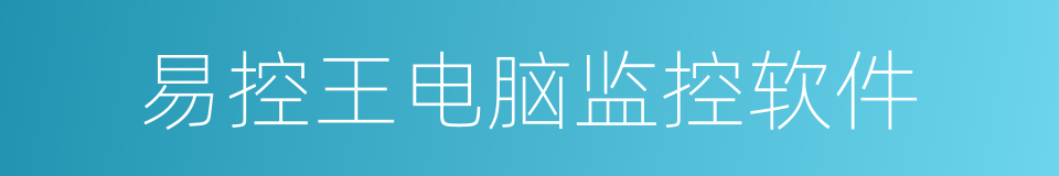 易控王电脑监控软件的同义词