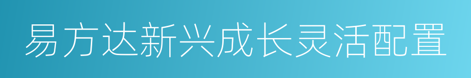 易方达新兴成长灵活配置的同义词