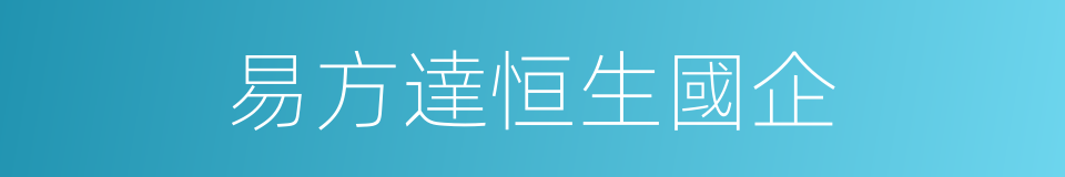 易方達恒生國企的同義詞