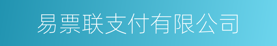 易票联支付有限公司的同义词