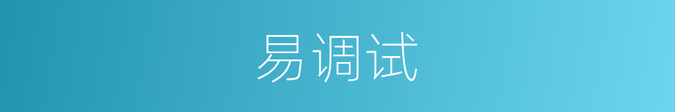 易调试的同义词