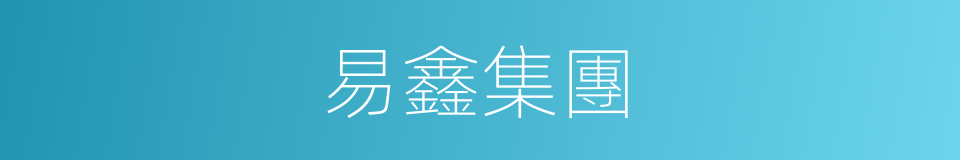 易鑫集團的同義詞